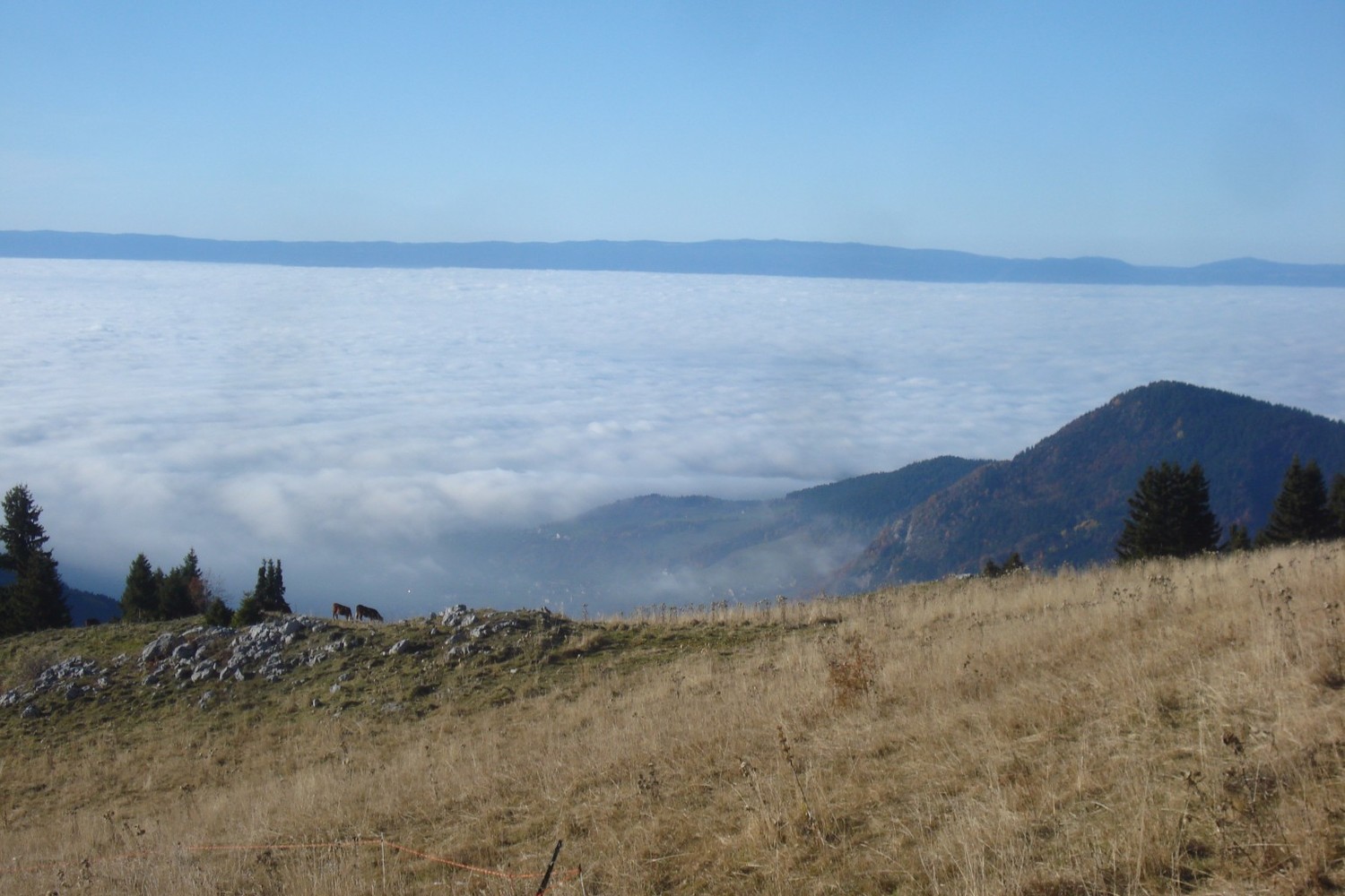 Belle mer de nuage !
