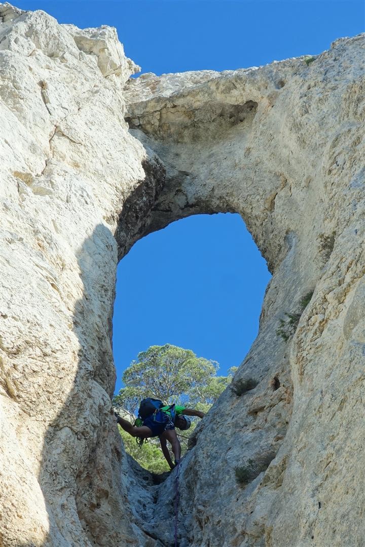 dans l'arche