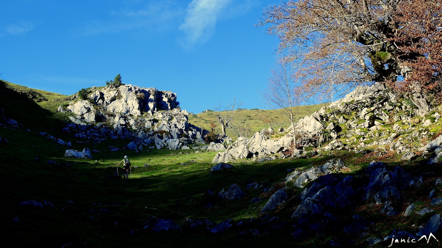 Le vallon du Coigt de Jaut
