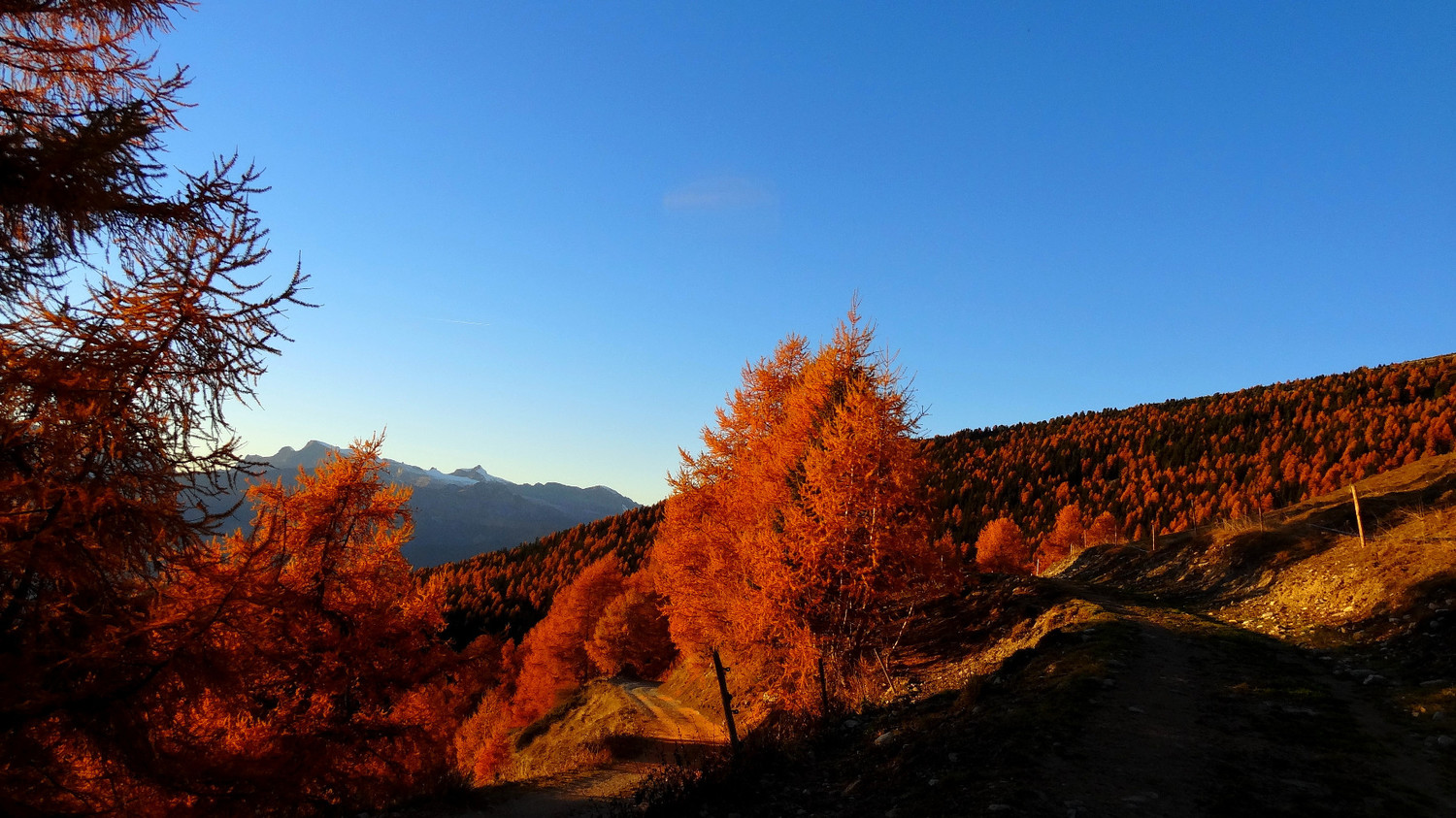Festival de couleur sous la Louère