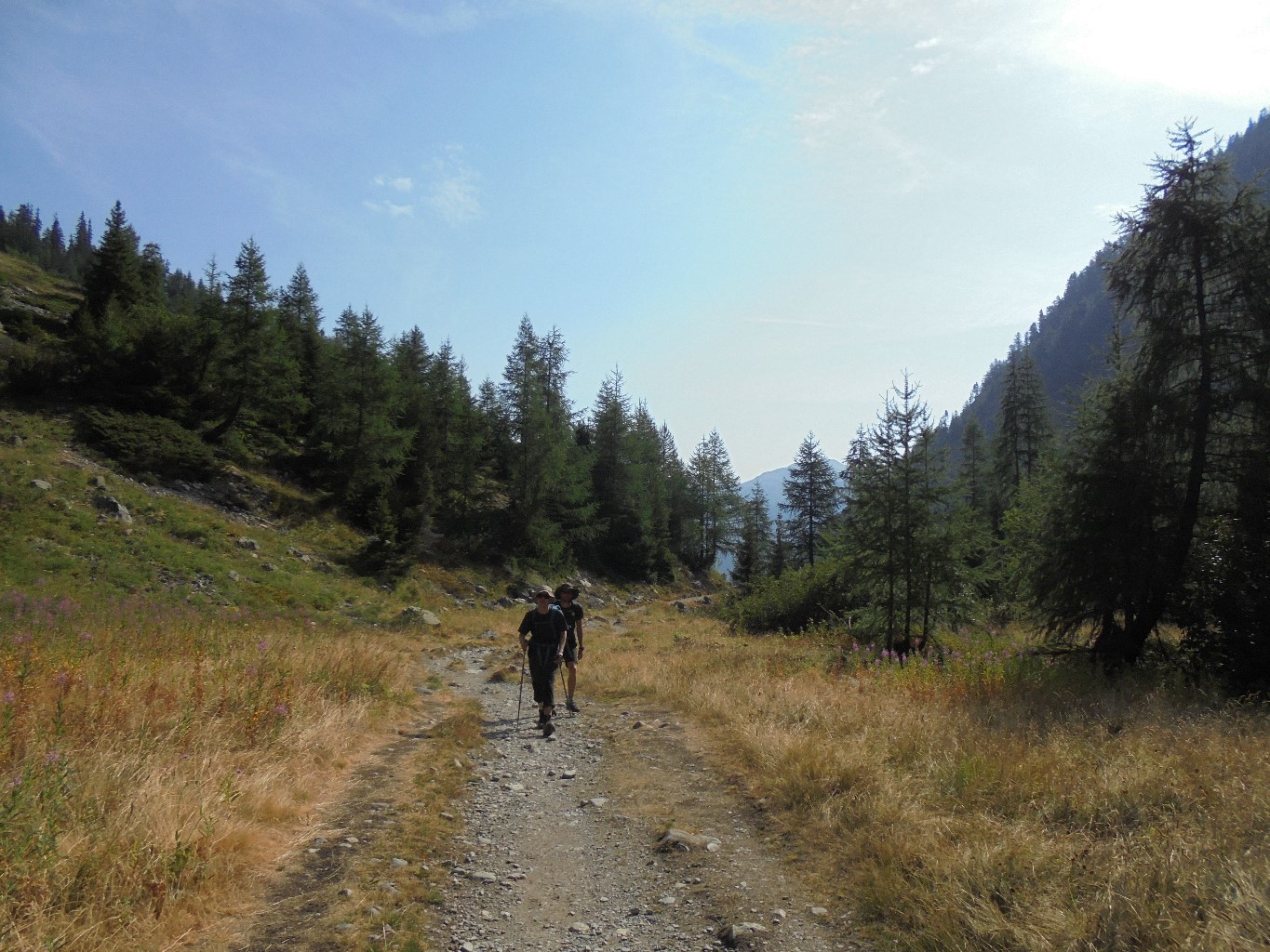 vallon avant le refuge