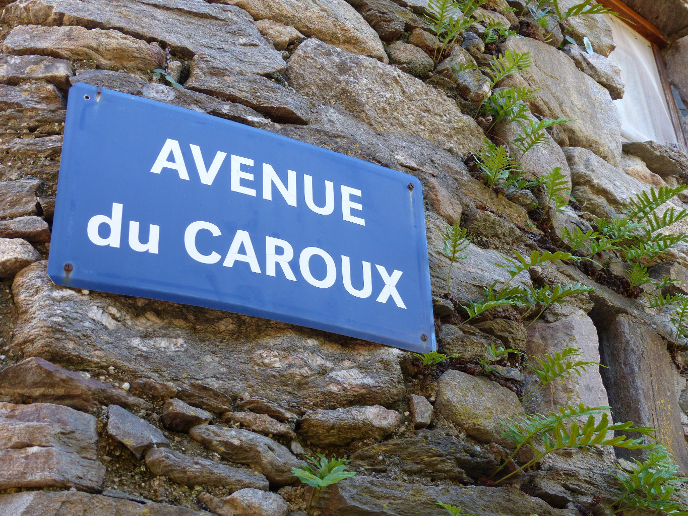 C'est par là !