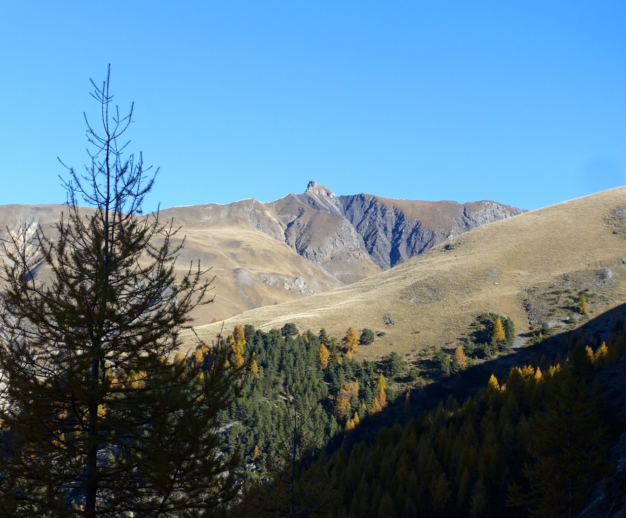 Le Joug de l'Aigle