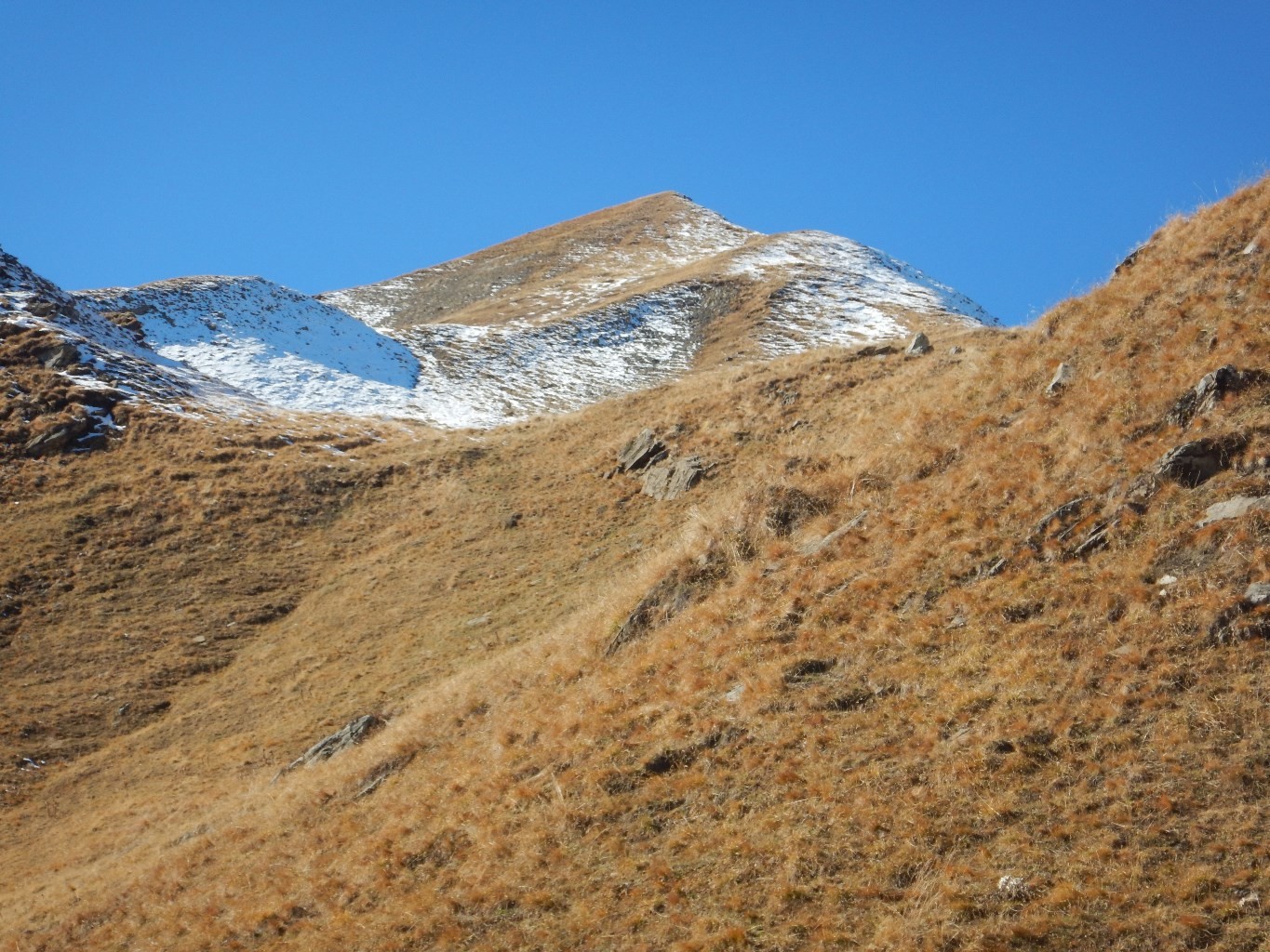 Antécime