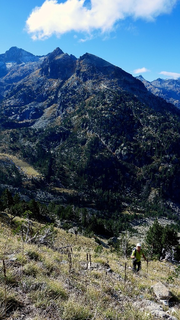 Le couloir herbeux