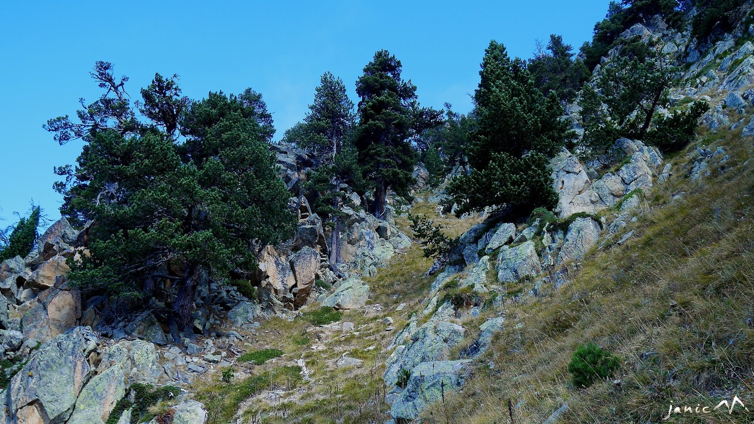 Couloir partie supérieure branche gauche