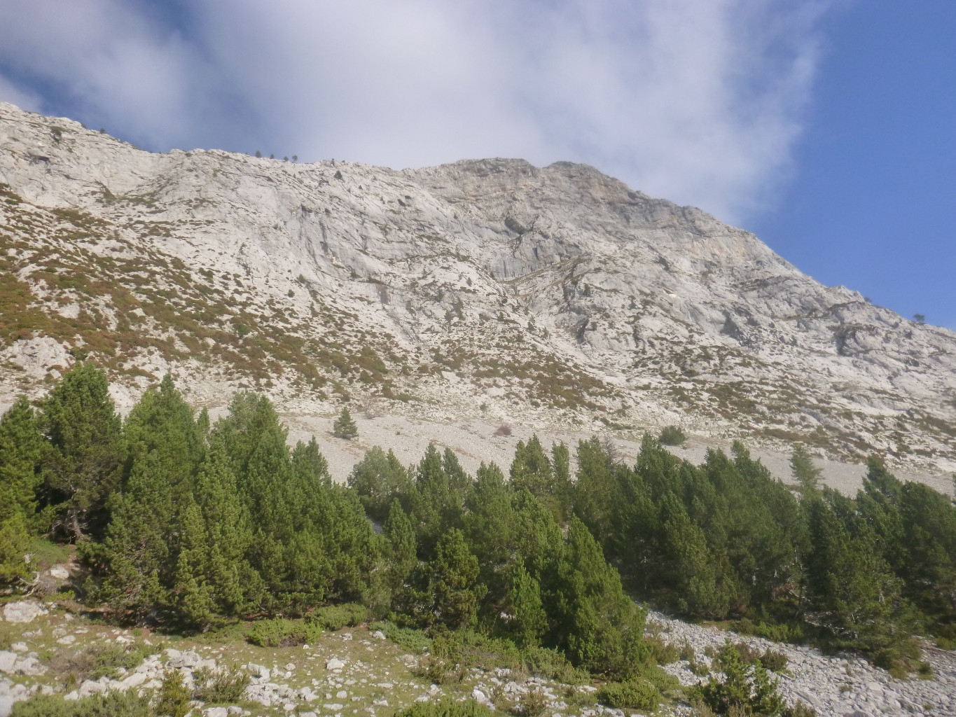 le massif
