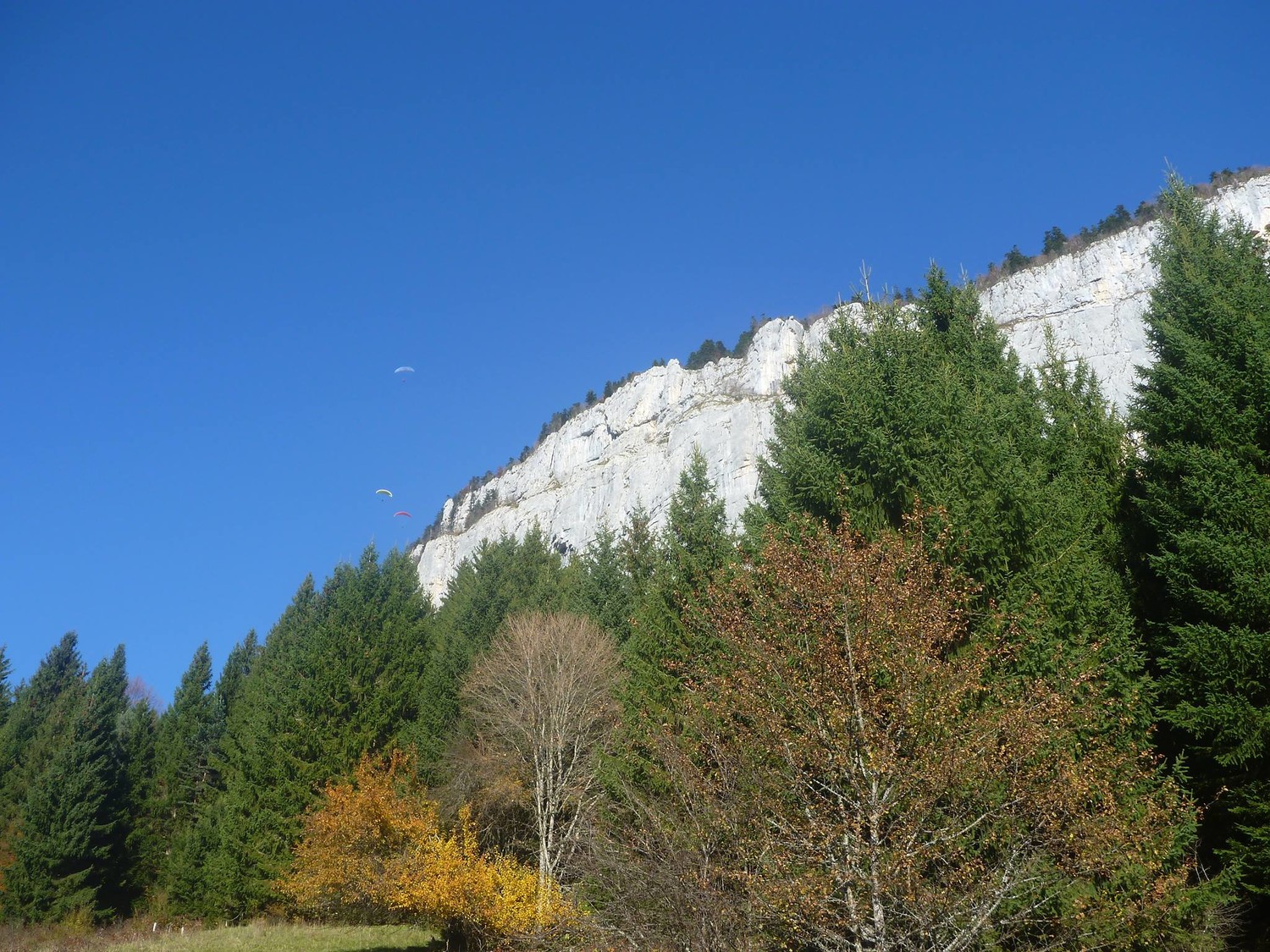 la vue de l'ensemble