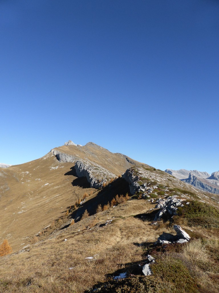 Crête de Lodze depuis les Fantanets.