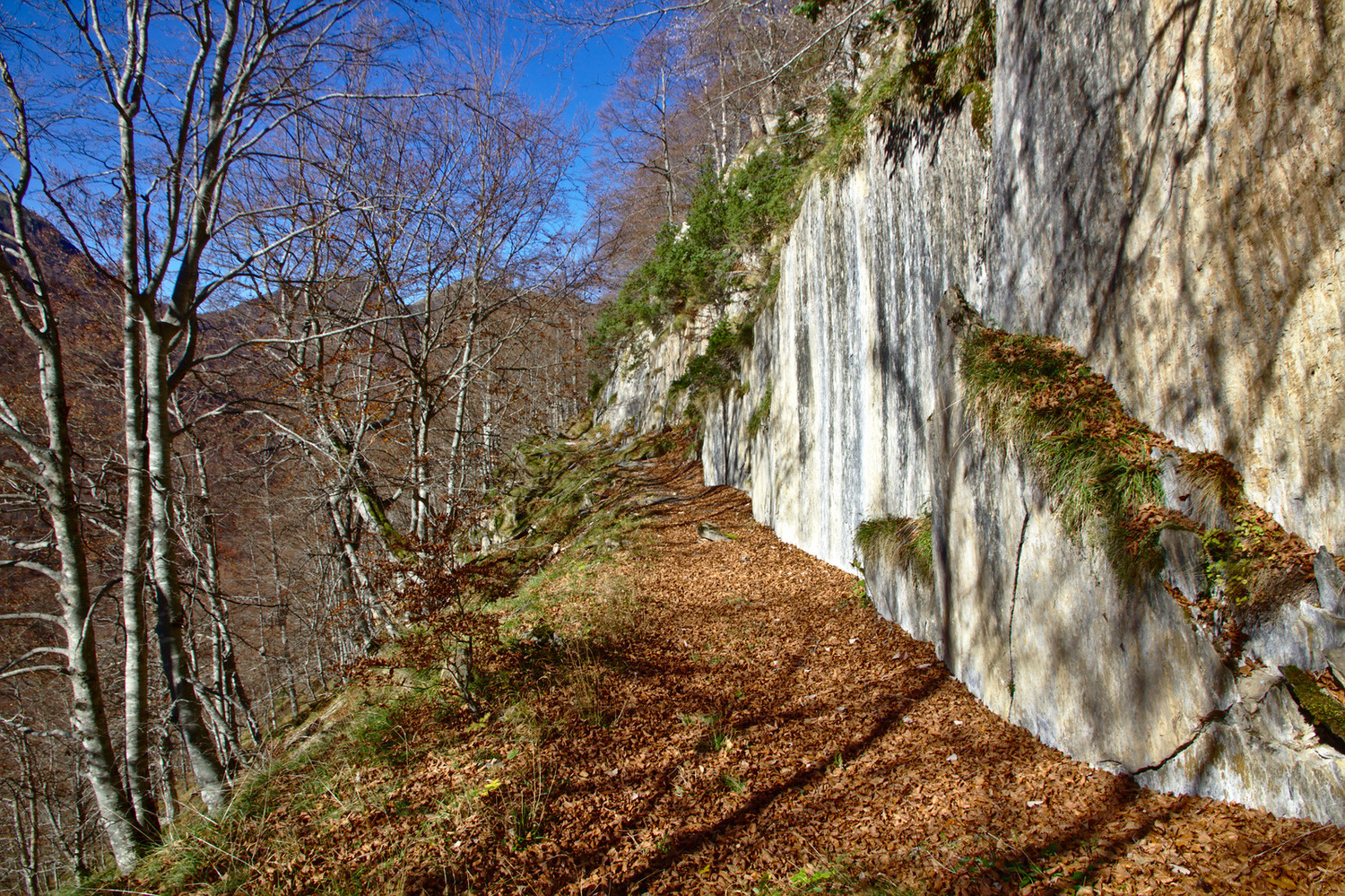 Voie Decauville