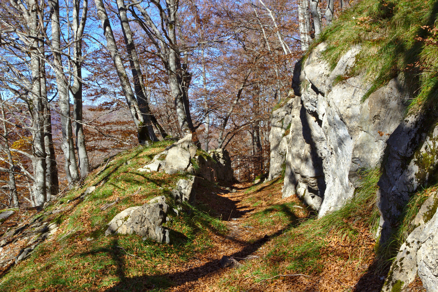 Voie Decauville