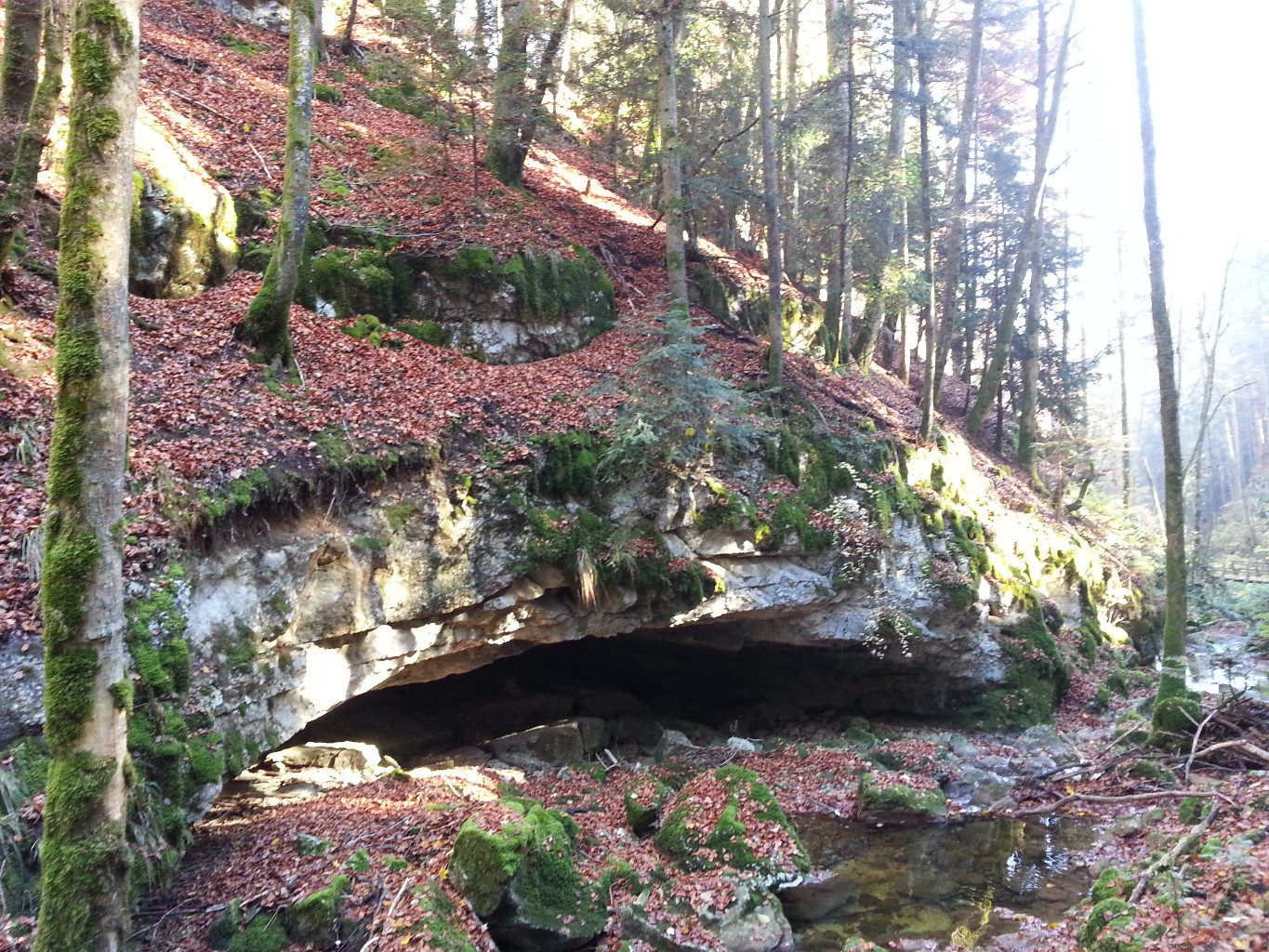 Les entrailles du Nozon