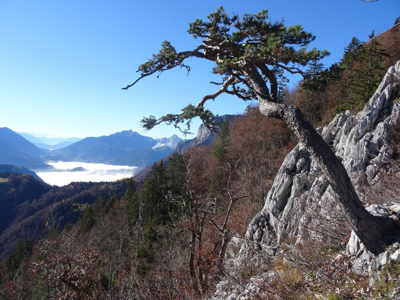 nous voilà, hors des forêts dangereuses
