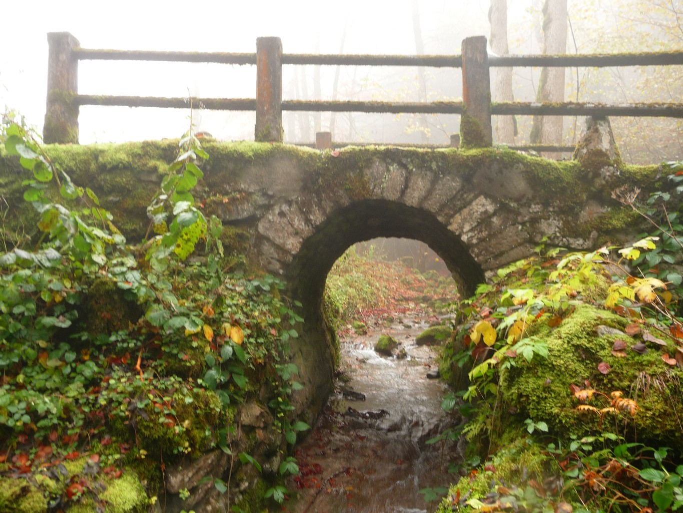 Le pont de la Motte