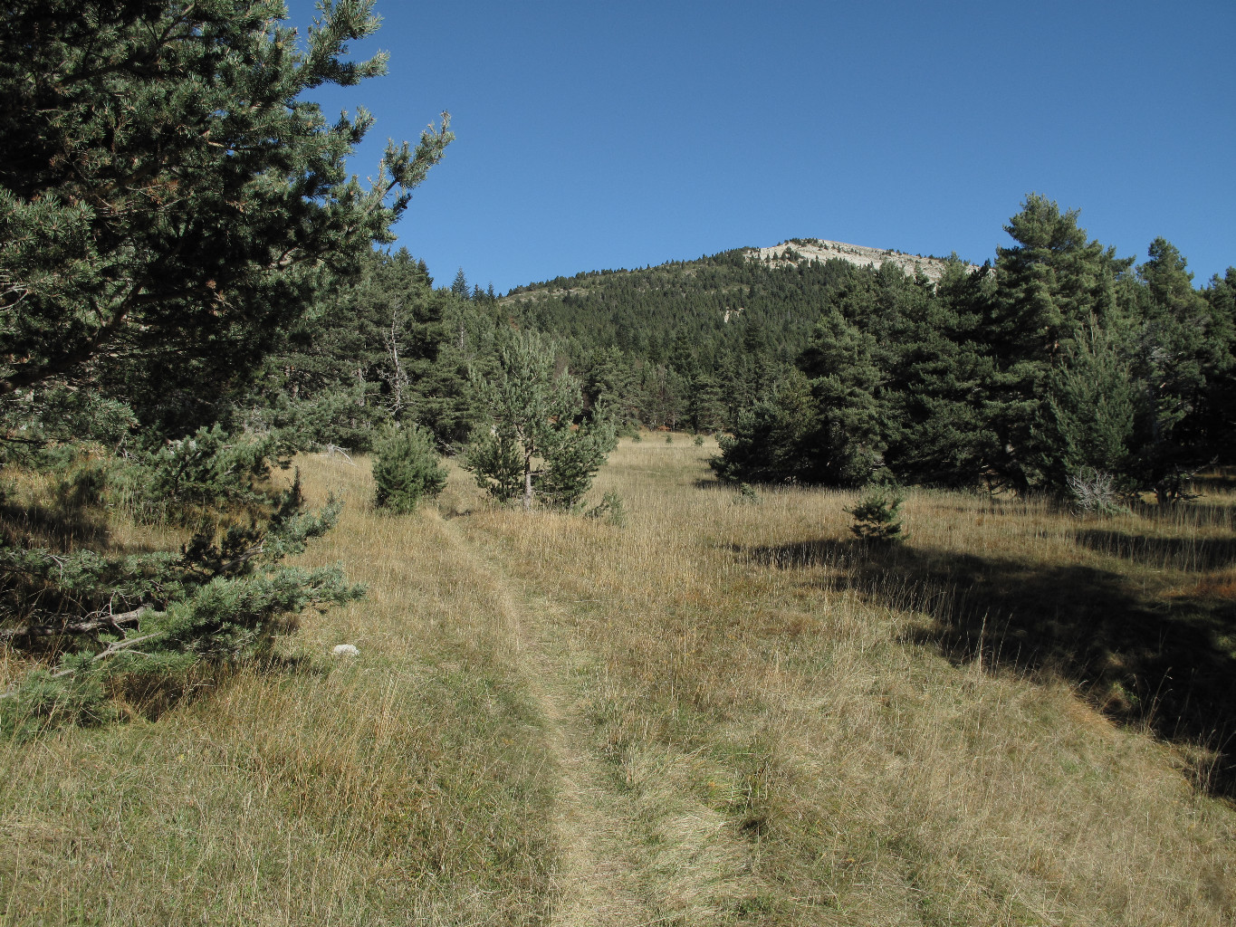 Le Serre de Beaupu (versant S) depuis les ruines de Font Morte