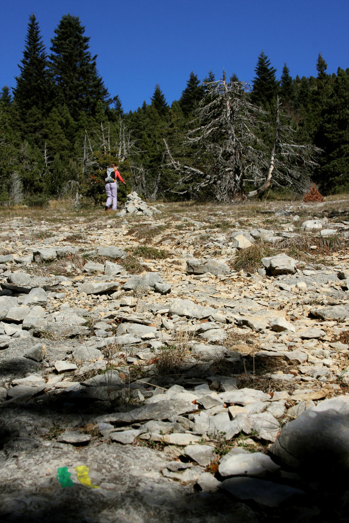 Sous le Col de Côte Chèvre, le sentier est encore balisé.