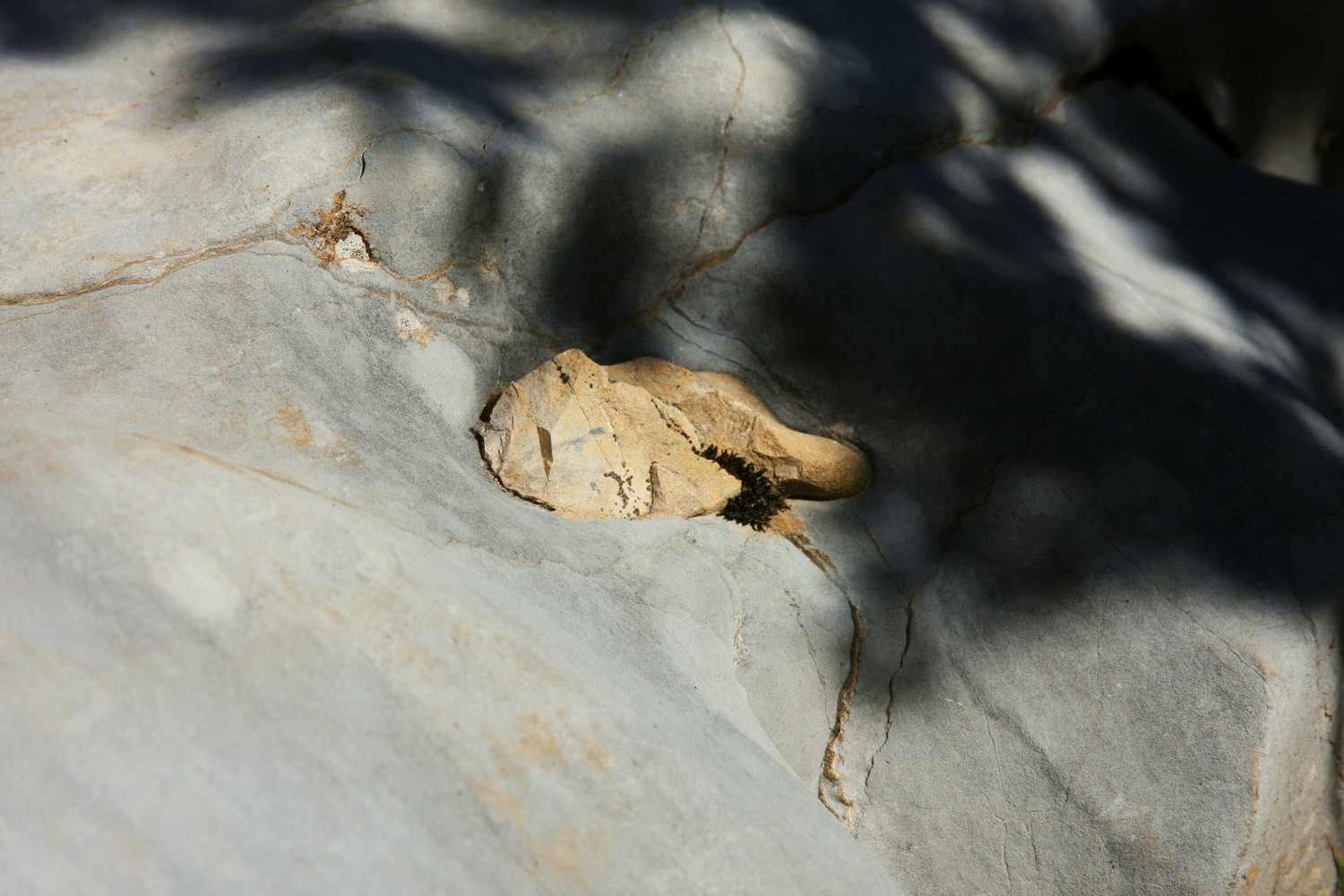 Calcaire et silex au Serre de Beaupuy, Haut-Diois, Sud Vercors