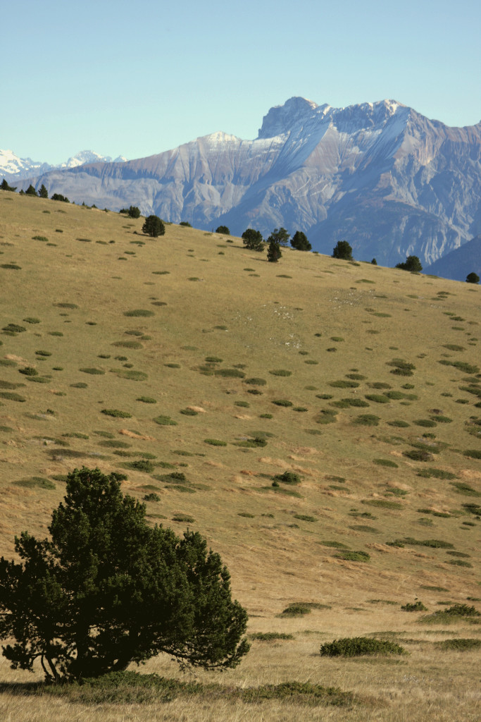 Arête du Rattier et Obiou depuis le Serre de Beaupuy