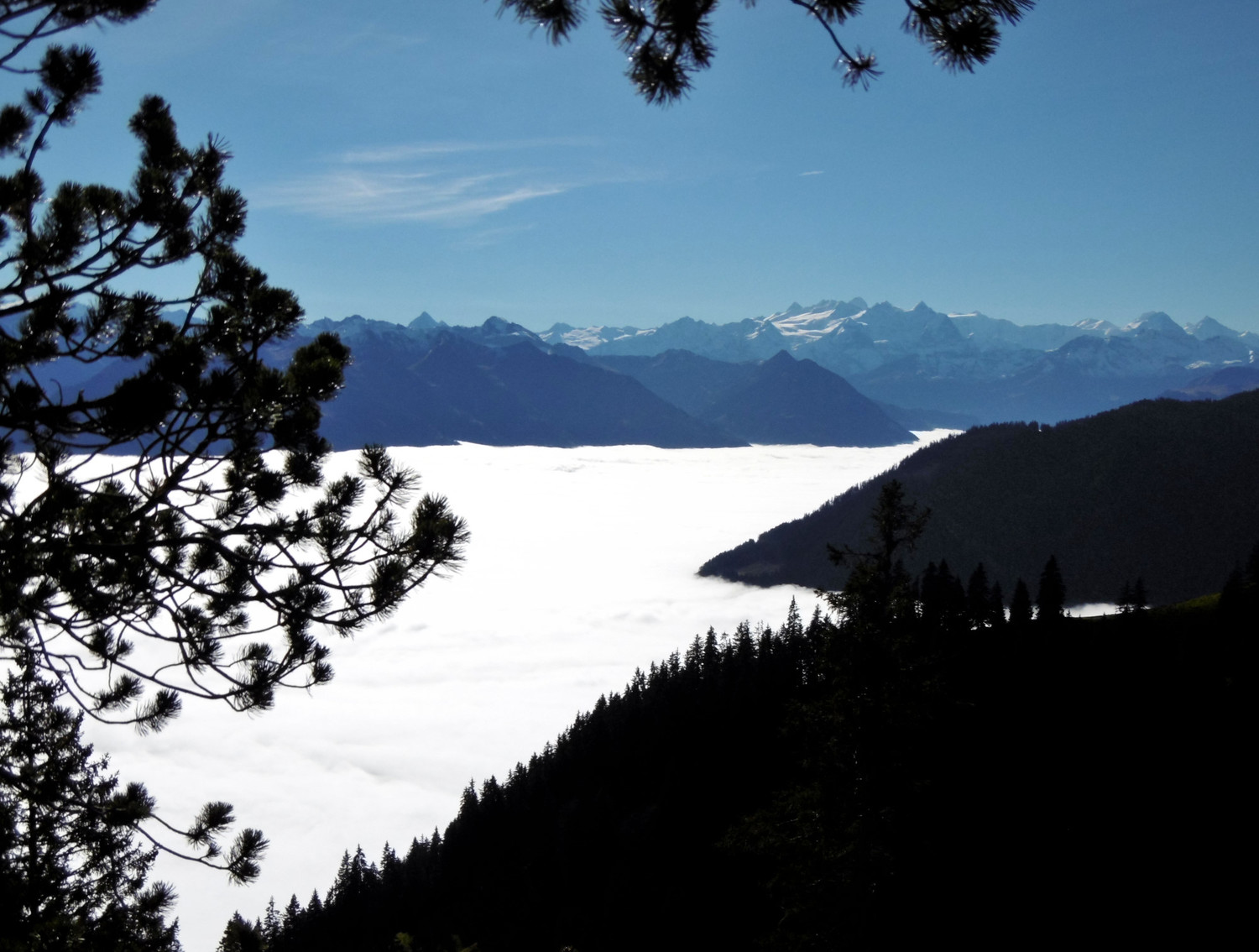 Dans la montée vers l'attaque - au fond le massif du Wetterhorn