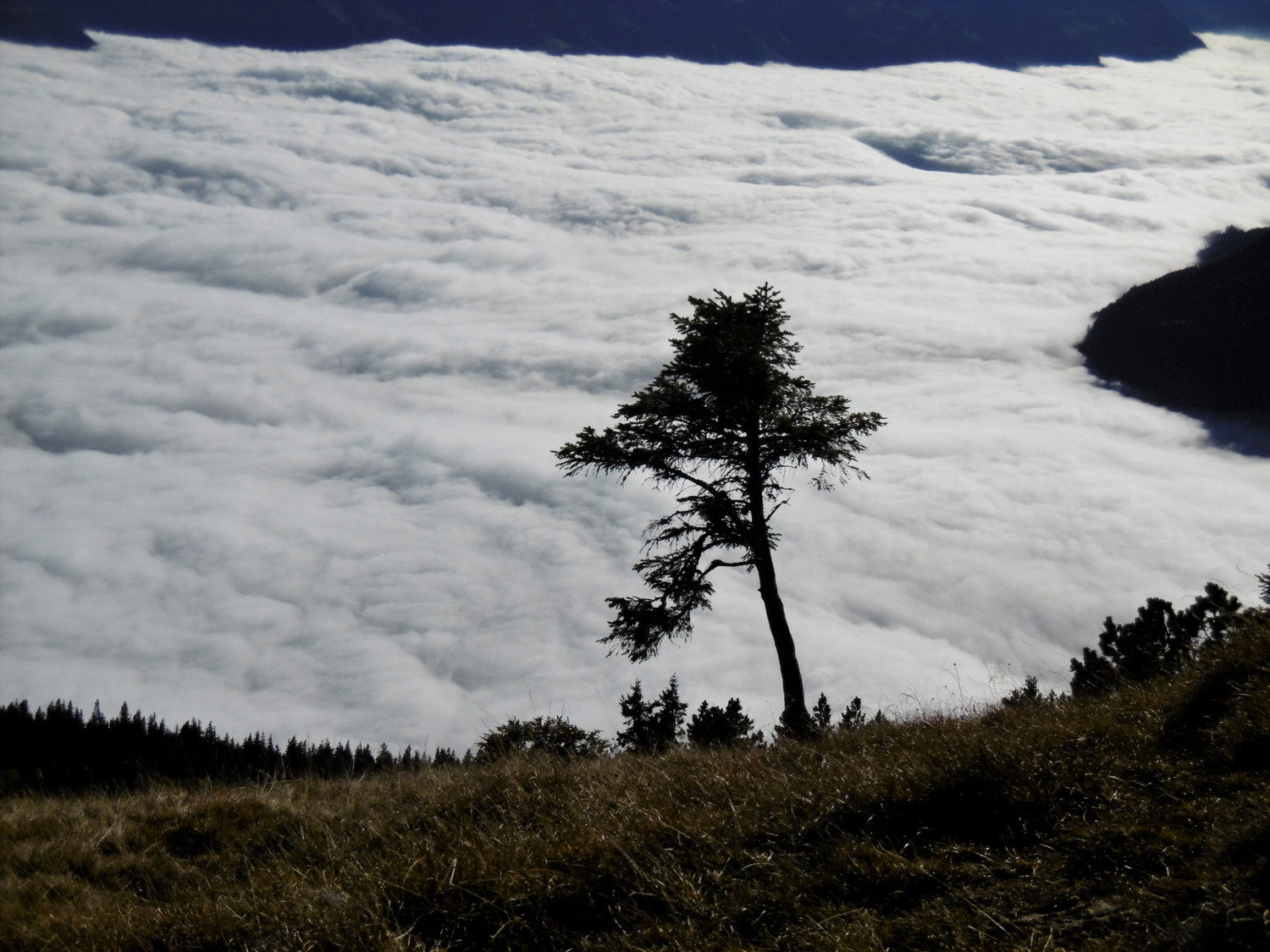 Sous le lac de nuages le lac tout court (celui de Sarnen, en l'occurence)