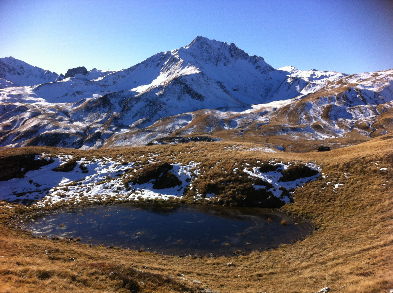 lac bis