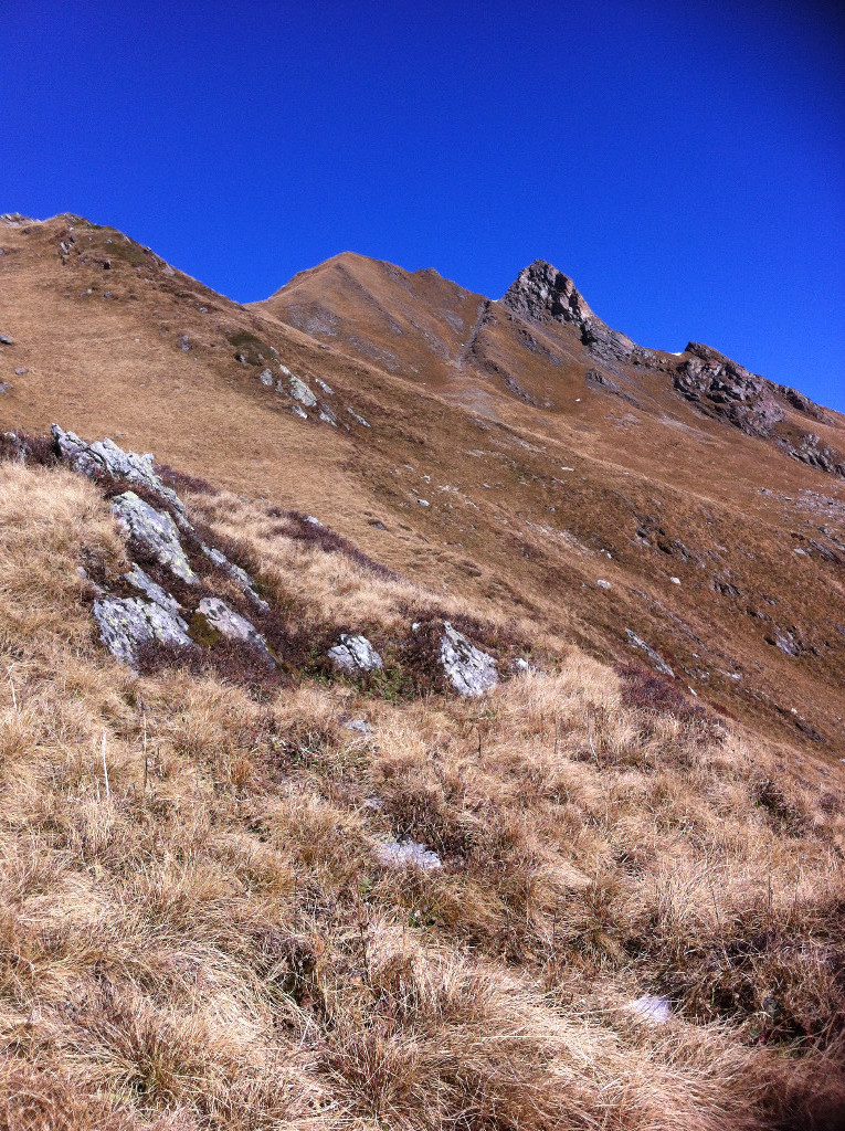 mont coin