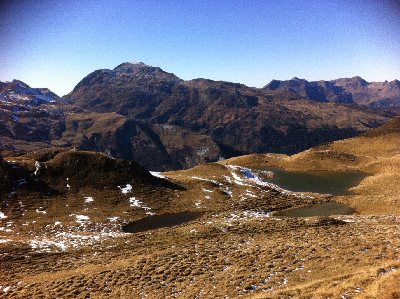 lac bis