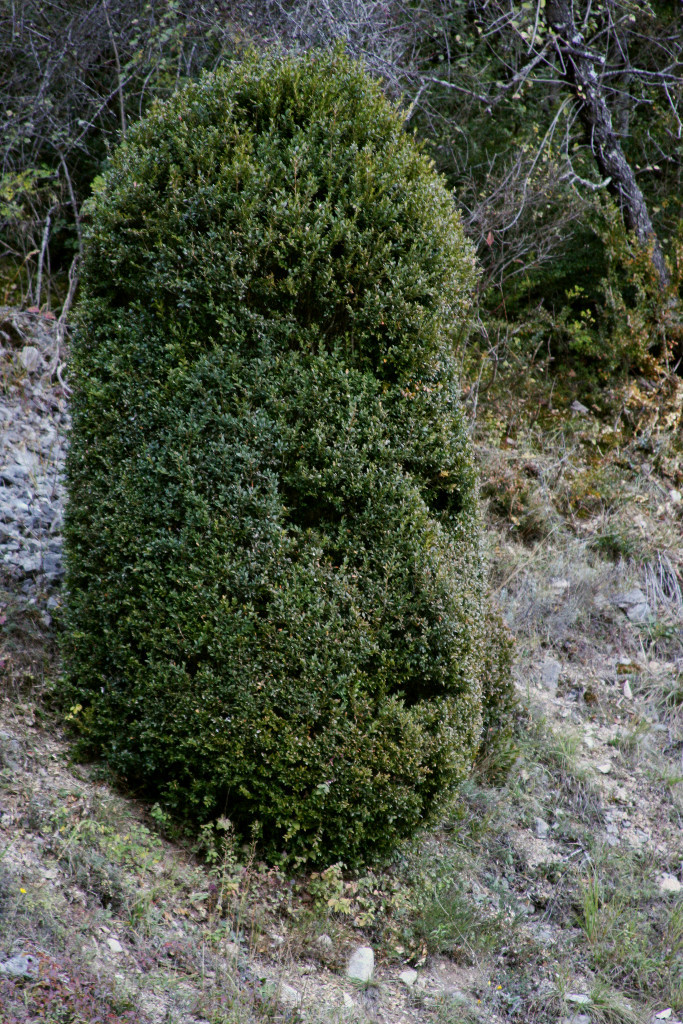 Les radars du Haut-Diois...