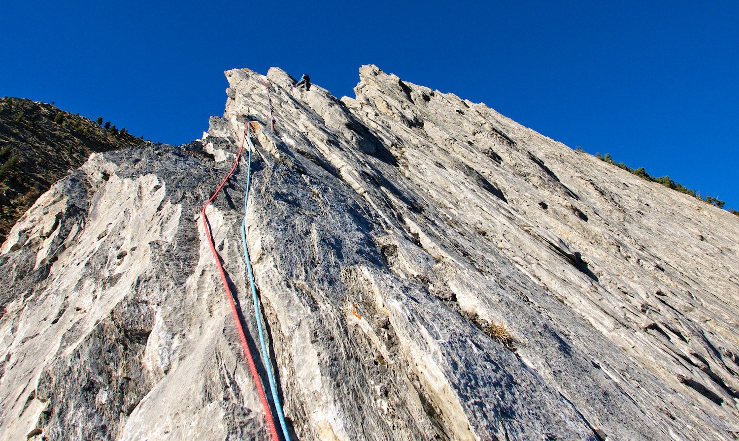 La partie supérieure de l'arête