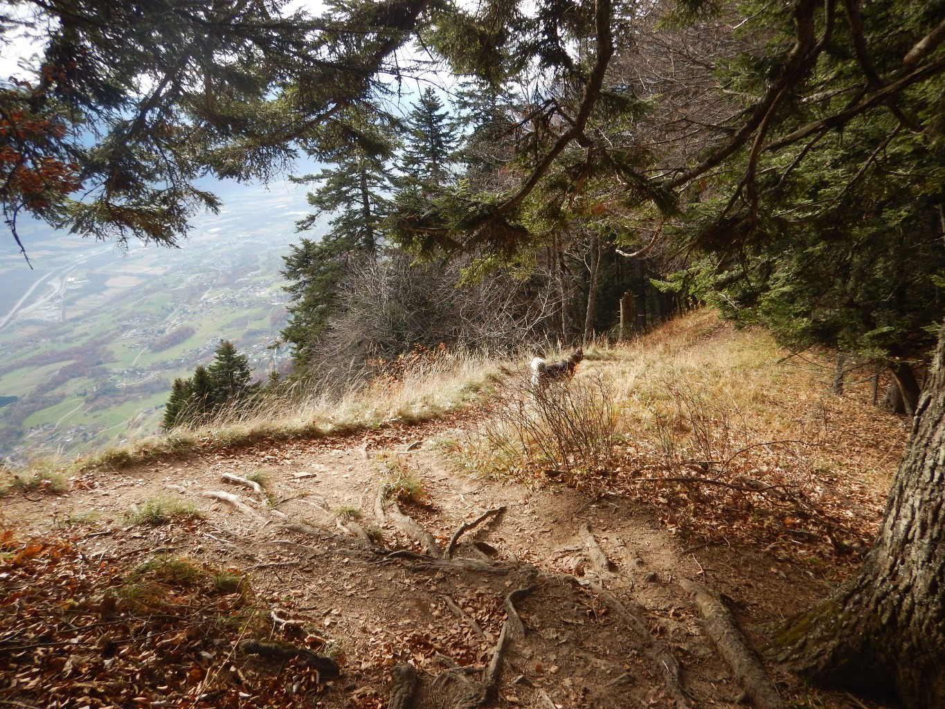 descente