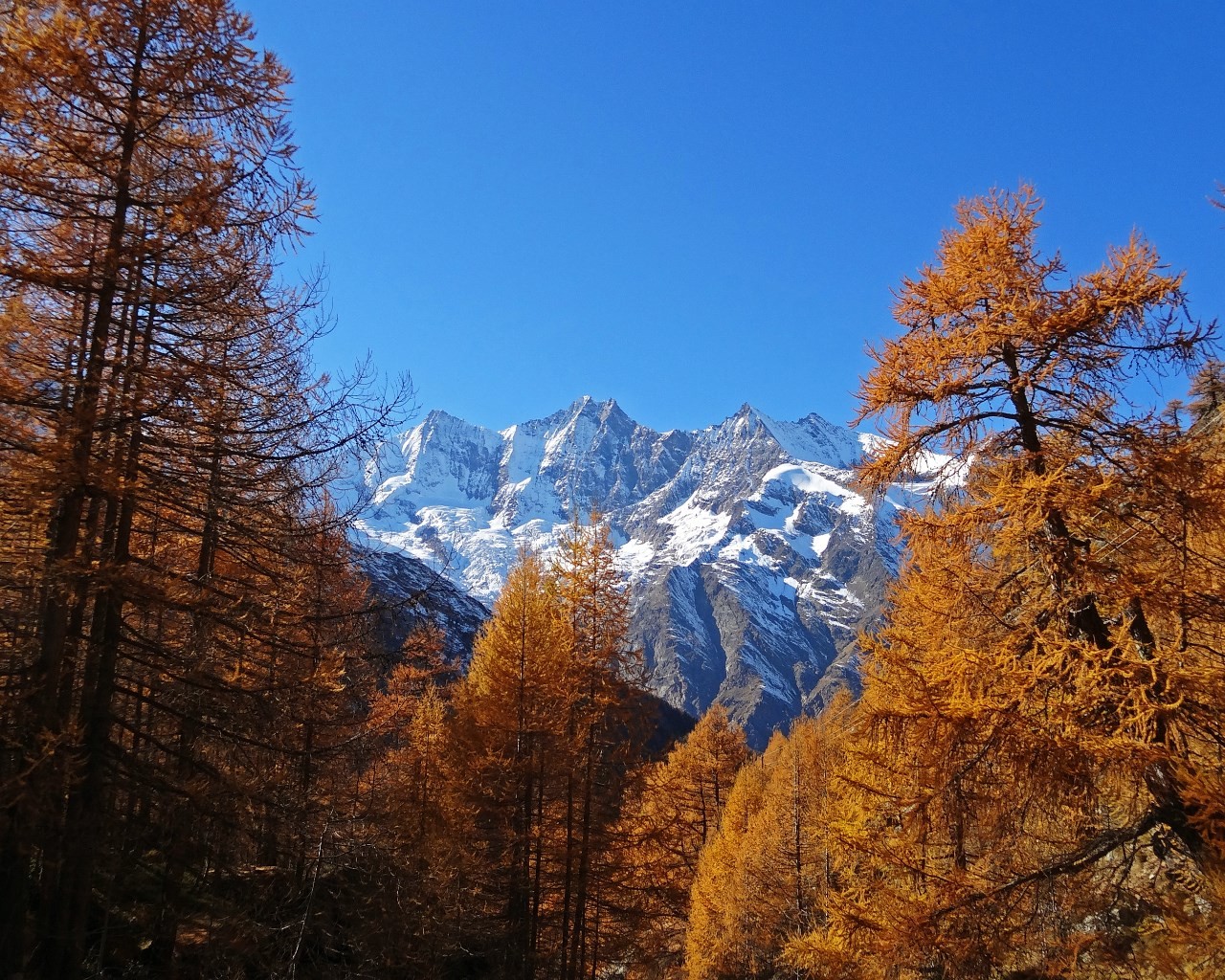 Il Mischabel