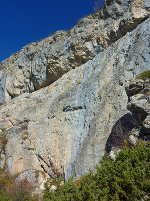 Secteur Gorille : partie gauche