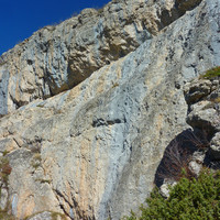 Secteur Gorille : partie gauche