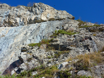 Secteur Gorille : partie droite