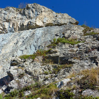 Secteur Gorille : partie droite