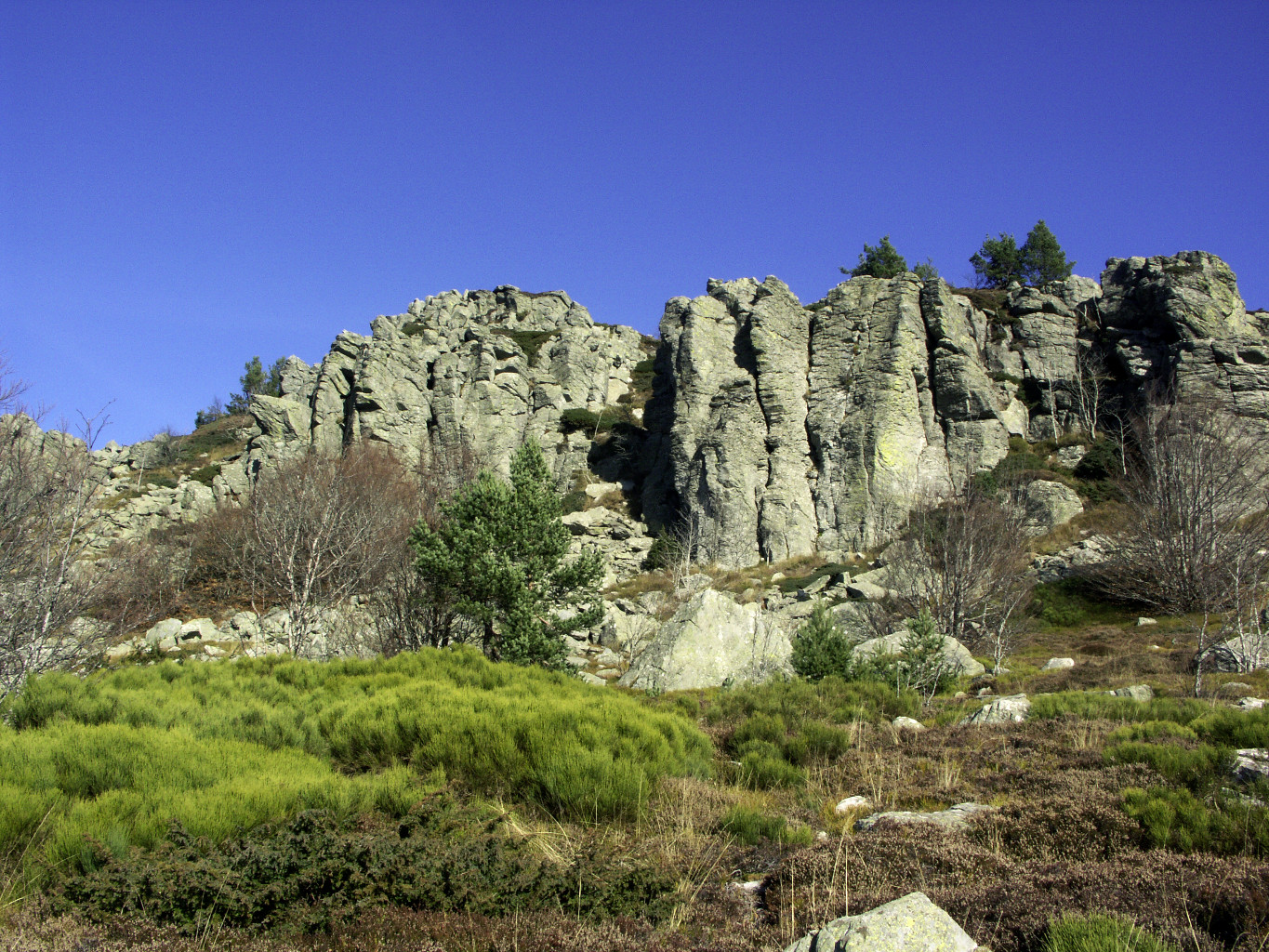 La falaise de phonolite "Les Coux"