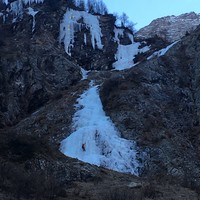 gibbo givre