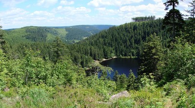 Glaswaldsee Glaswaldsee