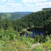 Glaswaldsee