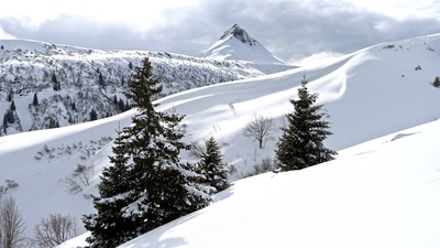 Croisse Baulet