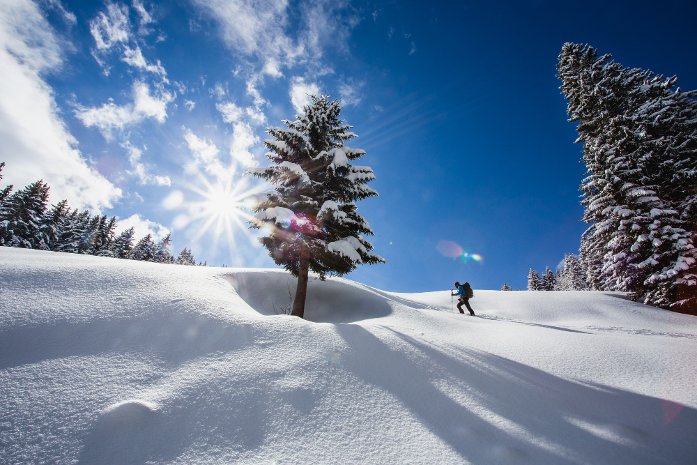 Sous un soleil radieux (plus pour longtemps) - Camptocamp.org