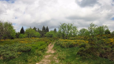 Le Pilat