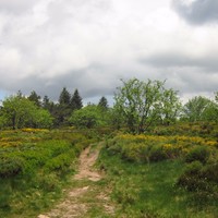 Le Pilat