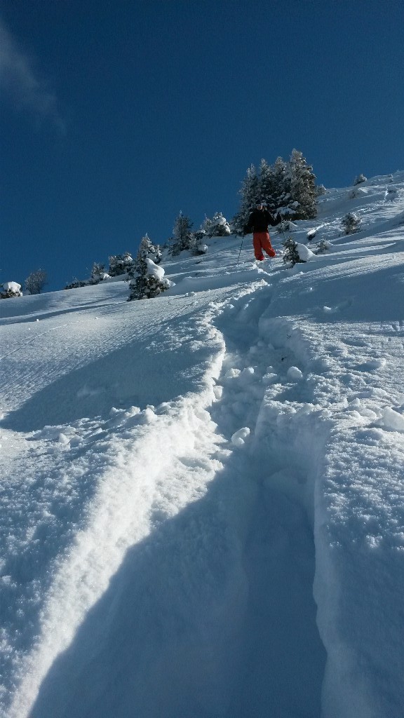Descente