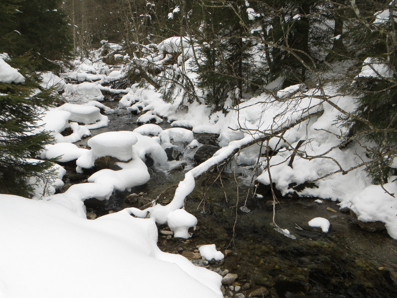 Winter