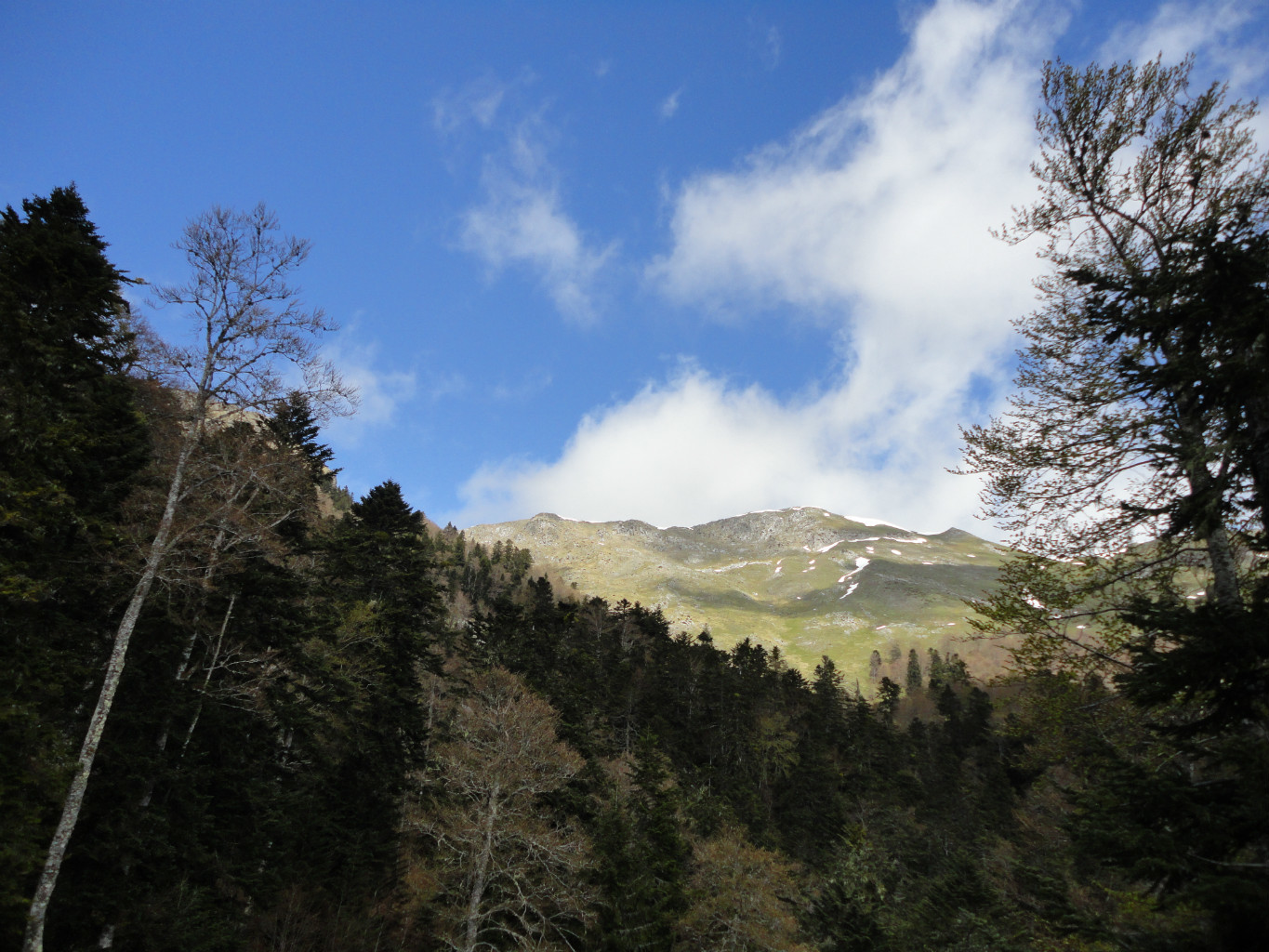 Retour dans la forêt.