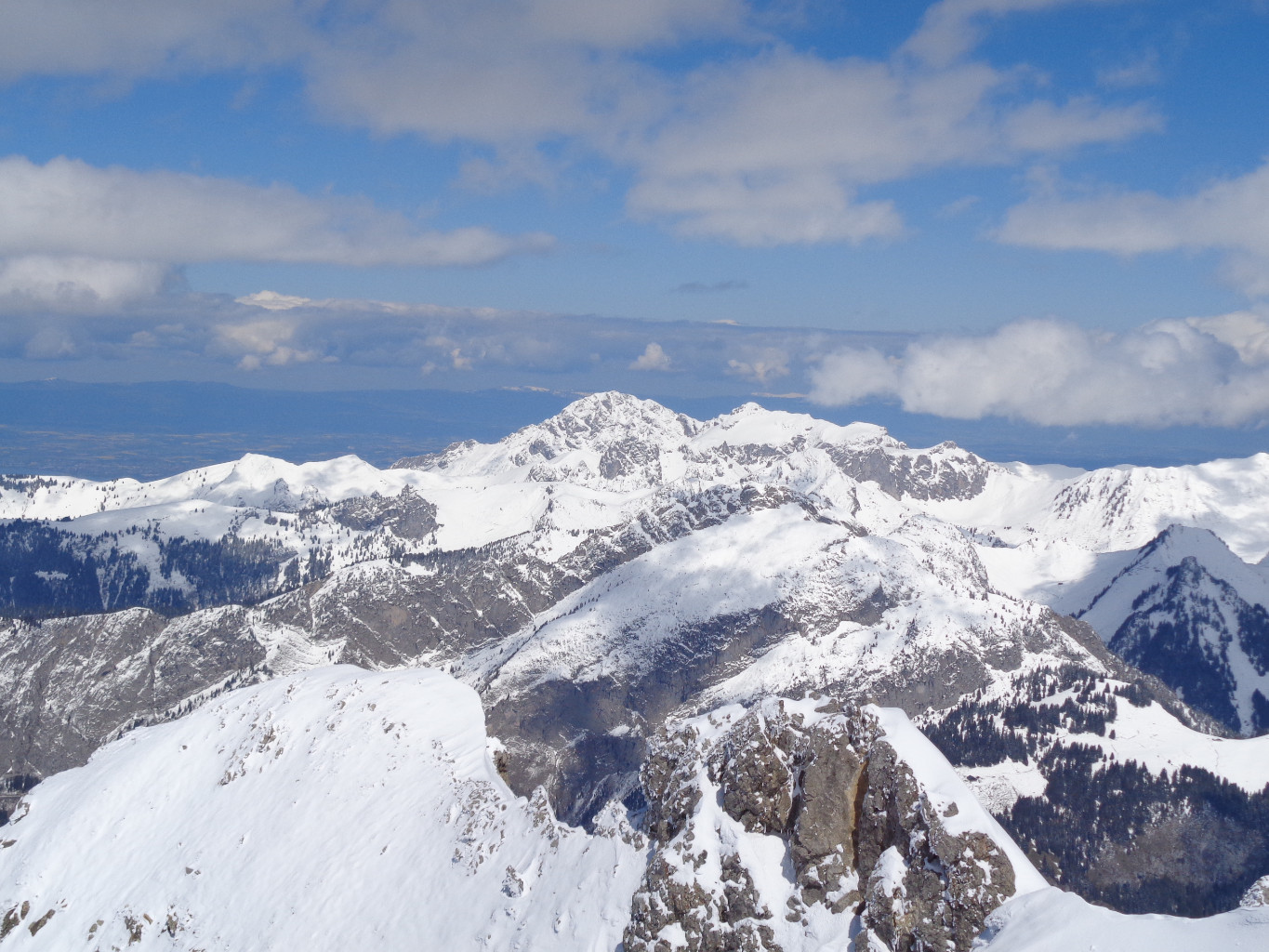 Reine du chablais ?