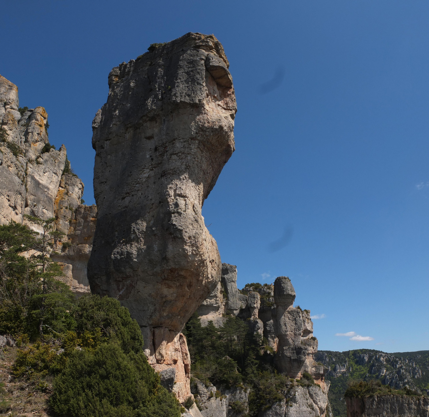 Le vase de Chine