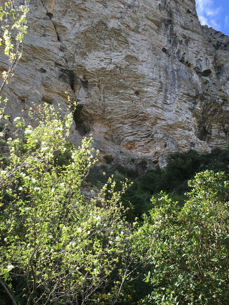 le départ