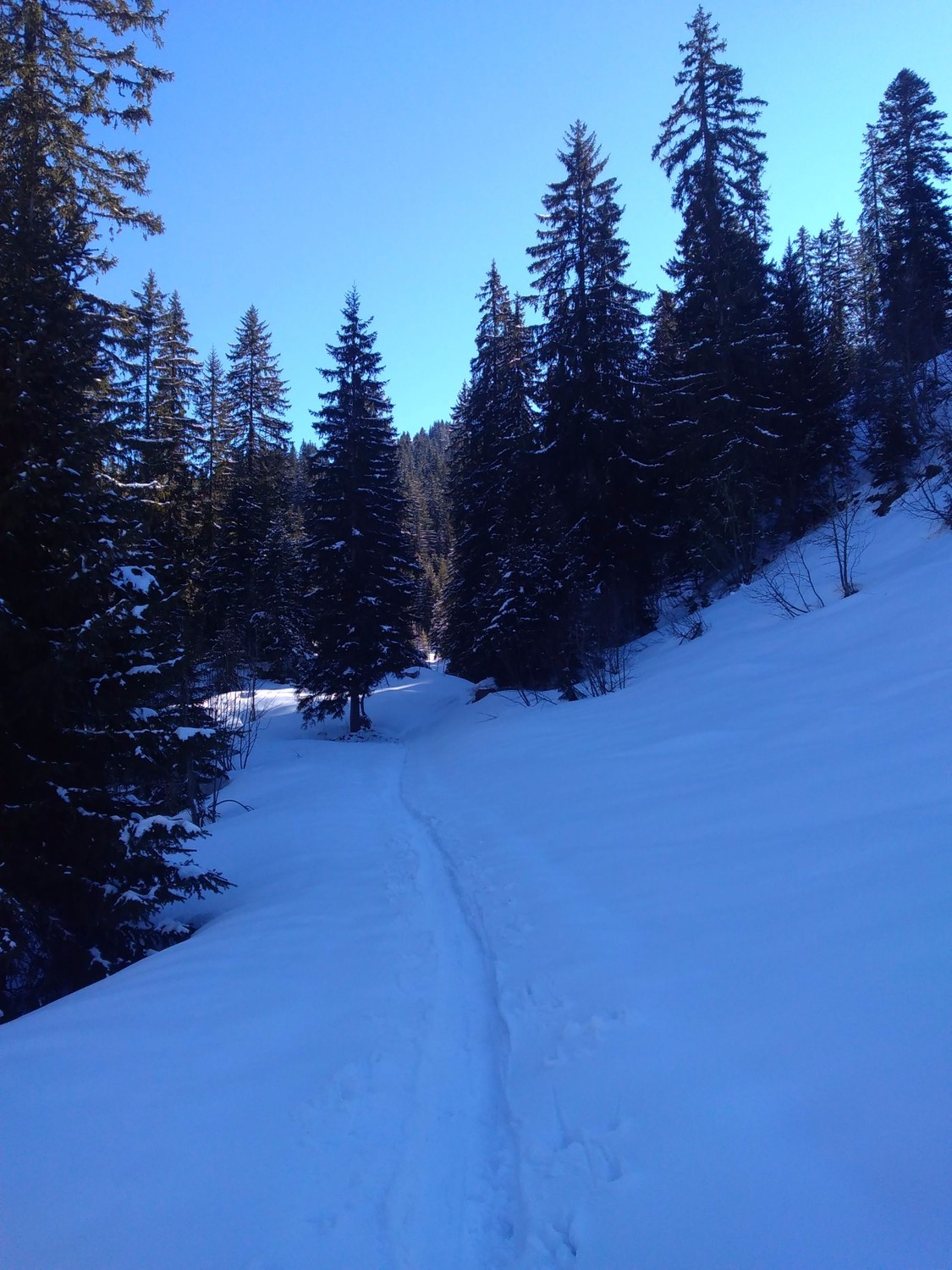 Enneigement à 1500 m